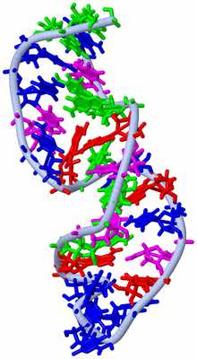 Image NMR Structure - model 1