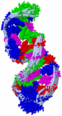 Image NMR Structure - all models