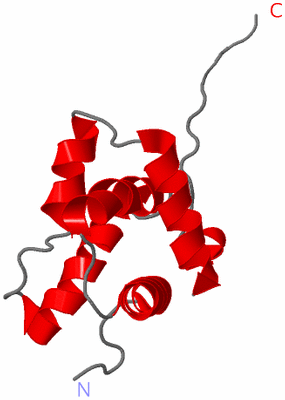 Image NMR Structure - model 1