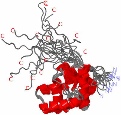 Image NMR Structure - all models