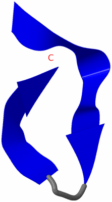 Image NMR Structure - model 1