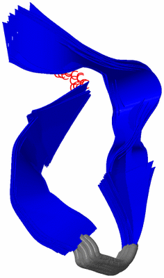 Image NMR Structure - all models