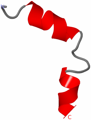 Image NMR Structure - model 1