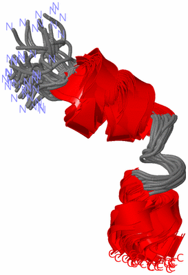 Image NMR Structure - all models