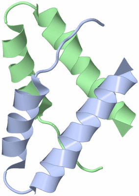 Image NMR Structure - model 1