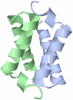 Image NMR Structure - model 1