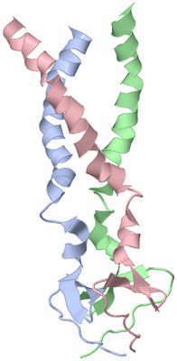 Image NMR Structure - model 1