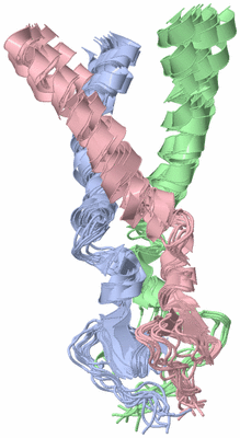 Image NMR Structure - all models