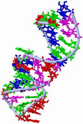 Image NMR Structure - model 1