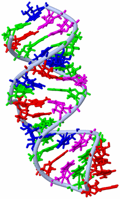 Image NMR Structure - model 1