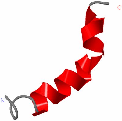 Image NMR Structure - model 1