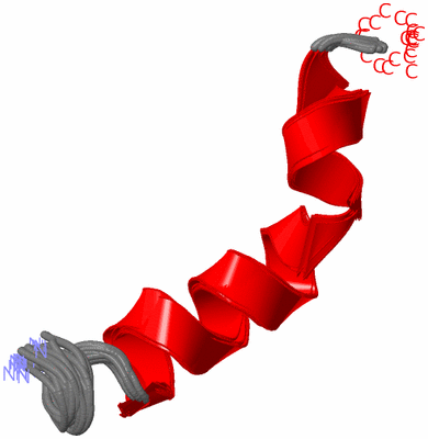 Image NMR Structure - all models