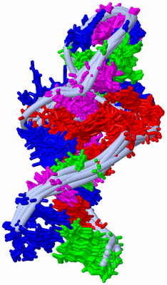 Image NMR Structure - all models