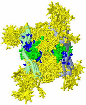 Image NMR Structure - all models