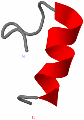 Image NMR Structure - model 1