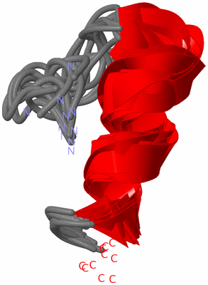 Image NMR Structure - all models