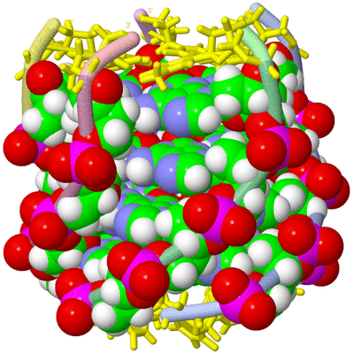 Image NMR Structure - model 1