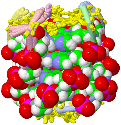 Image NMR Structure - all models