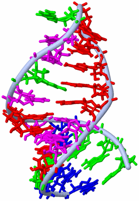 Image NMR Structure - model 1