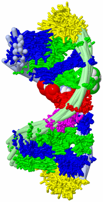 Image NMR Structure - all models