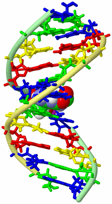 Image NMR Structure - model 1