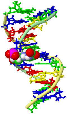 Image NMR Structure - model 1