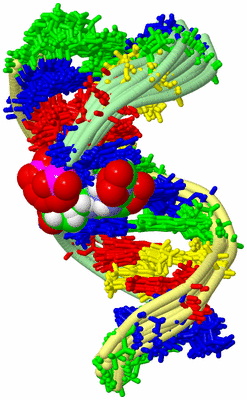 Image NMR Structure - all models