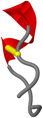 Image NMR Structure - model 1