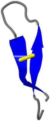 Image NMR Structure - model 1