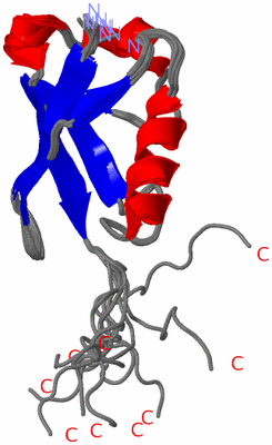 Image NMR Structure - all models