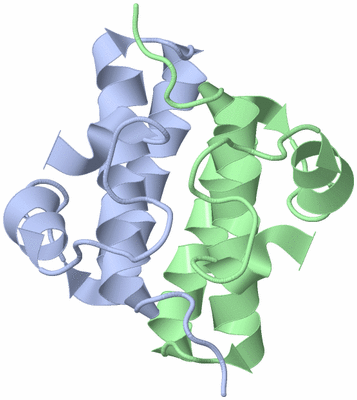 Image NMR Structure - model 1