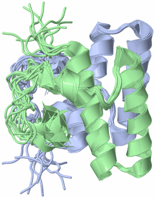 Image NMR Structure - all models