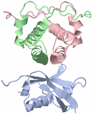 Image NMR Structure - model 1