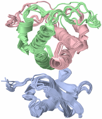 Image NMR Structure - all models