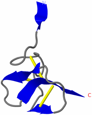 Image NMR Structure - model 1