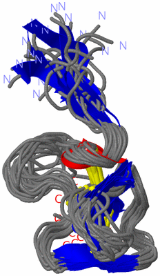 Image NMR Structure - all models