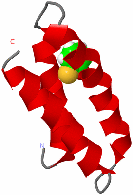 Image NMR Structure - model 1