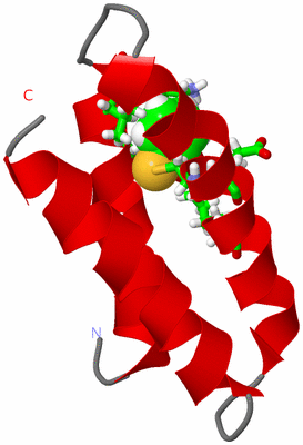 Image NMR Structure - model 1, sites