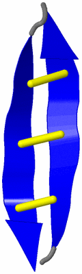 Image NMR Structure - model 1