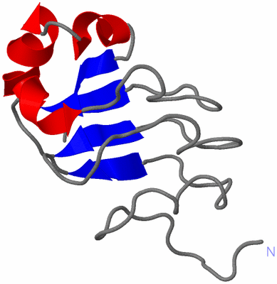 Image NMR Structure - model 1