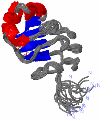 Image NMR Structure - all models