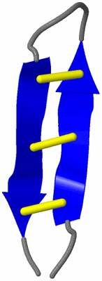 Image NMR Structure - model 1