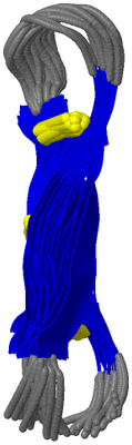 Image NMR Structure - all models