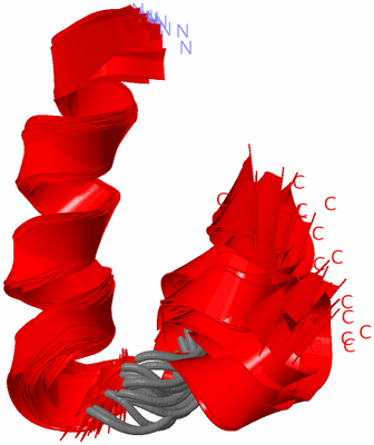 Image NMR Structure - all models