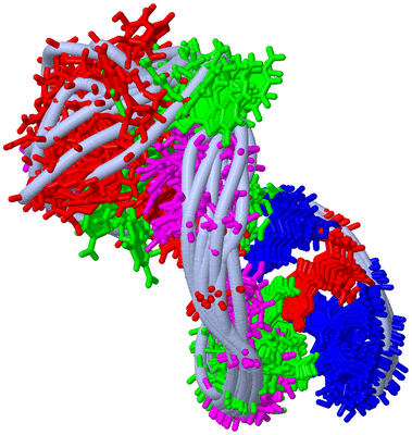 Image NMR Structure - all models