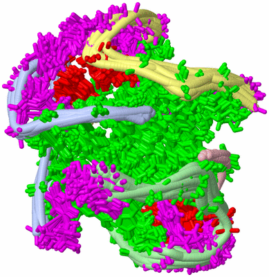 Image NMR Structure - all models