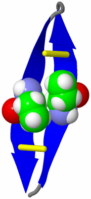 Image NMR Structure - model 1