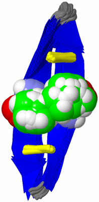 Image NMR Structure - all models