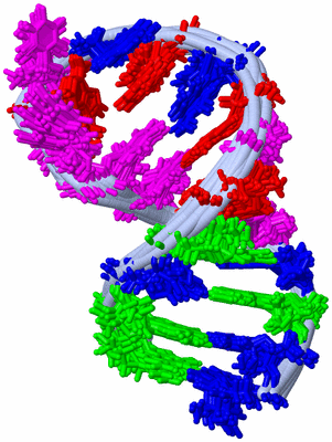 Image NMR Structure - all models