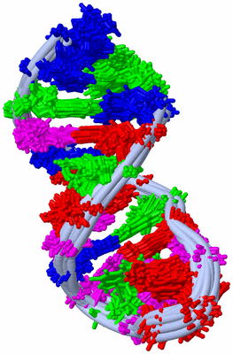 Image NMR Structure - all models